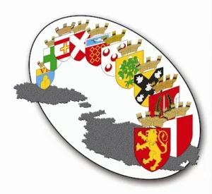 local councils