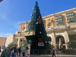 jason micallef's xmas tree